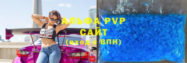 шишки Гусев