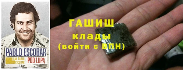 шишки Гусев
