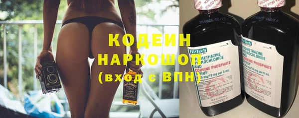 шишки Гусев