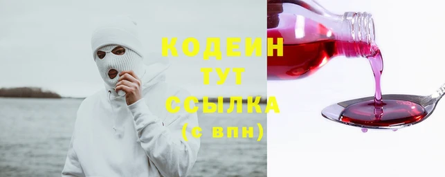 шишки Гусев