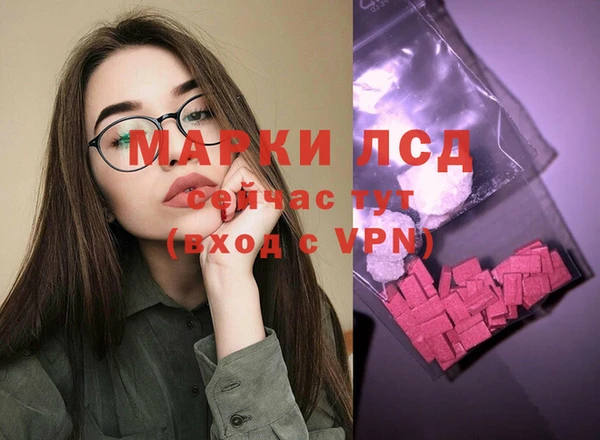 шишки Гусев