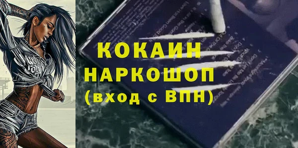 шишки Гусев