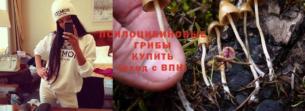 мяу мяу мука Горняк