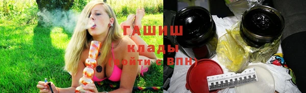 шишки Гусев