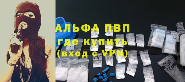 шишки Гусев
