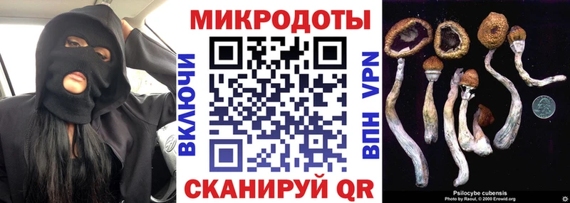 Галлюциногенные грибы мицелий  ссылка на мегу   Павловский Посад 